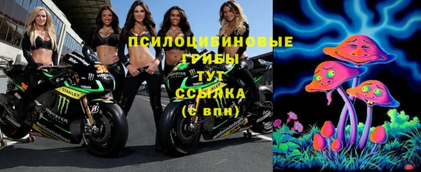 спиды Киреевск