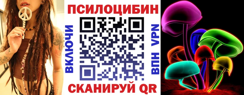 что такое   Новороссийск  Псилоцибиновые грибы Psilocybine cubensis 