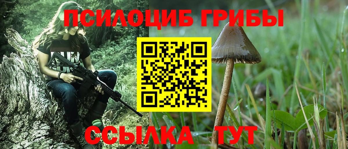 Галлюциногенные грибы Psilocybine cubensis Новороссийск