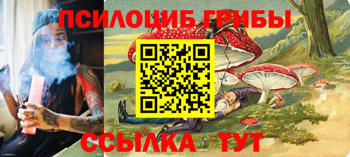 Псилоцибиновые грибы Psilocybe  Вход с VPN  Новороссийск 