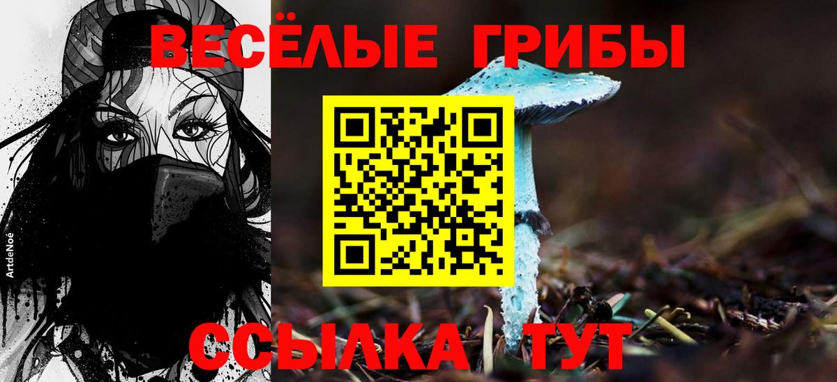 Псилоцибиновые грибы прущие грибы Новороссийск