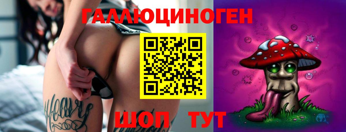 Галлюциногенные грибы мицелий  Новороссийск 