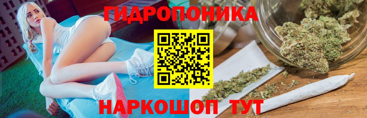 Конопля тримм  Конопля SATIVA & INDICA  Шишки марихуана гибрид  Конопля индика  Новороссийск 